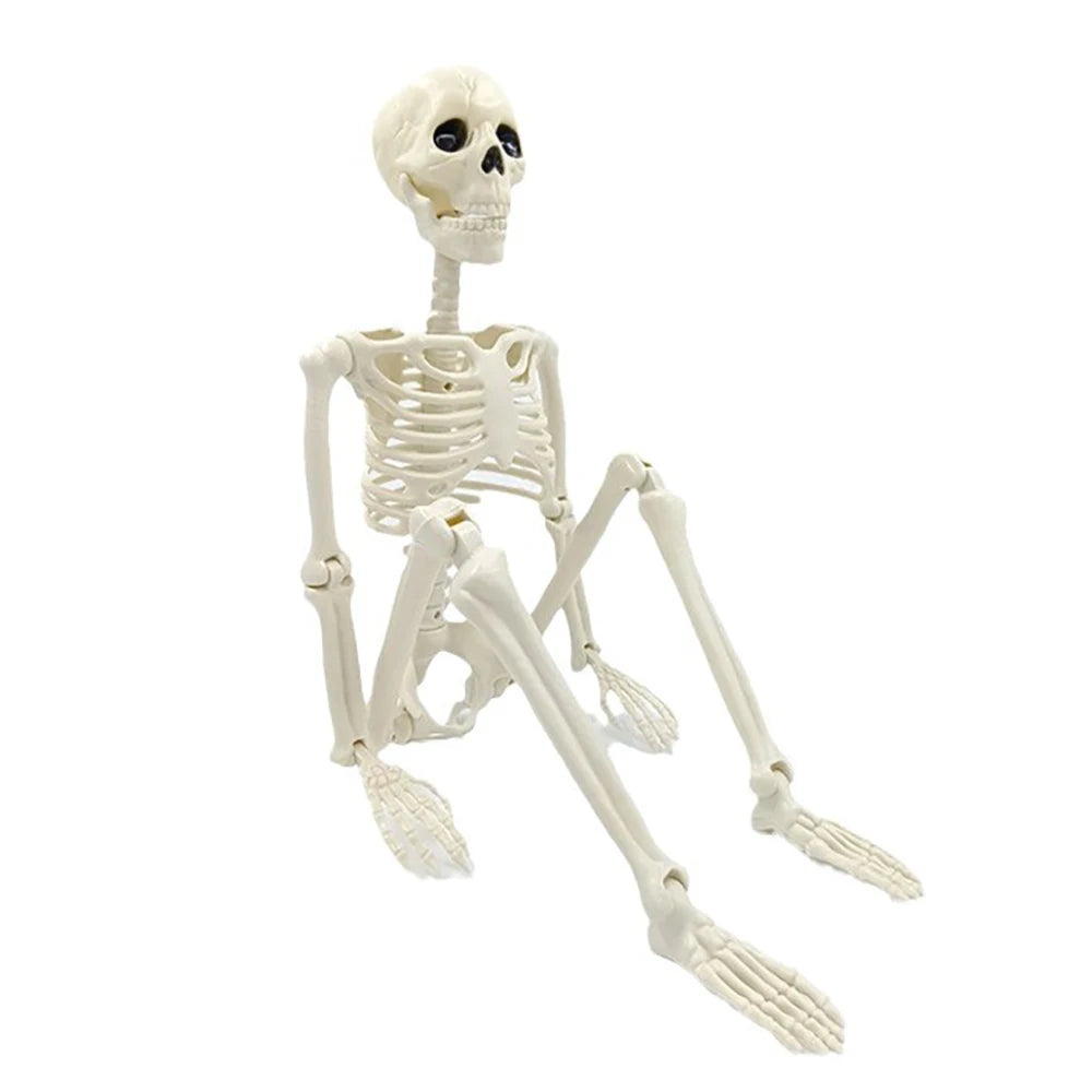 Posable Halloween Skeleton Decoration