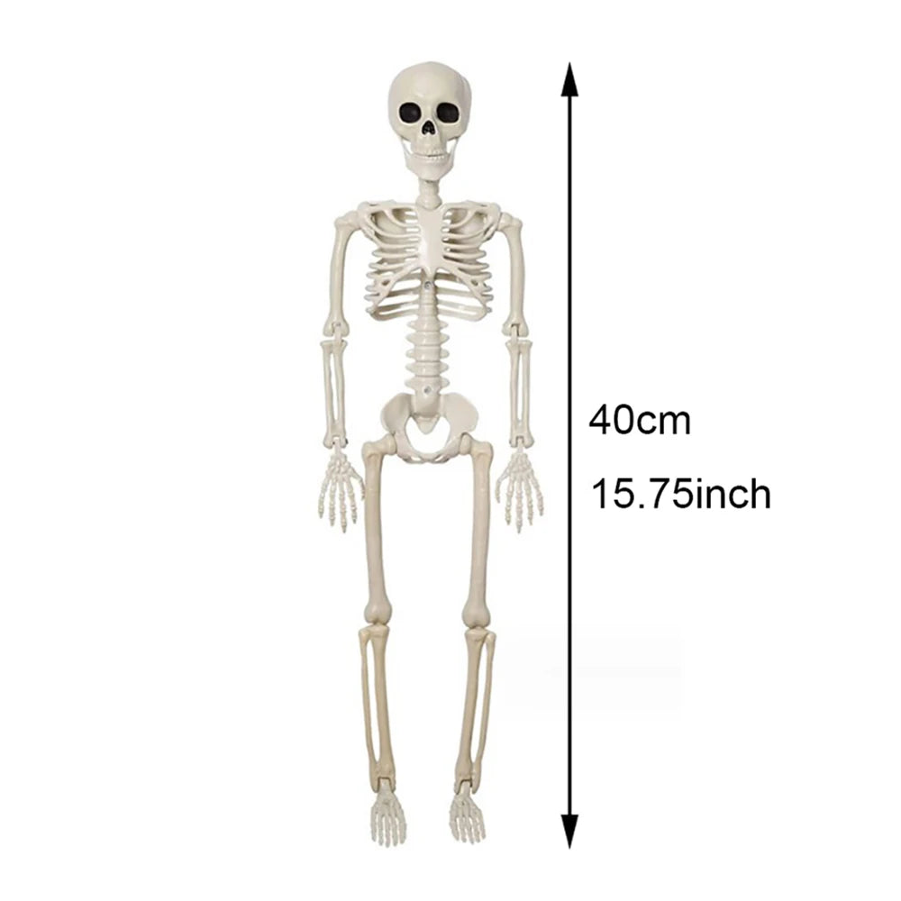 Posable Halloween Skeleton Decoration