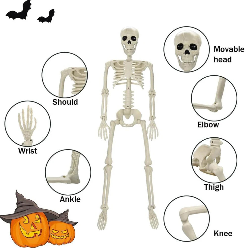 Posable Halloween Skeleton Decoration